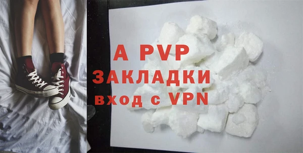 гашик Богданович