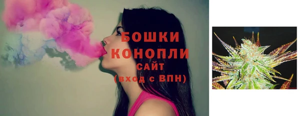гашик Богданович