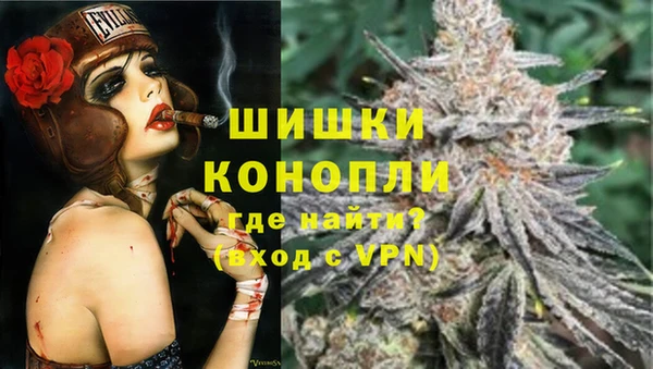 гашик Богданович