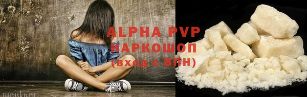 гашик Богданович